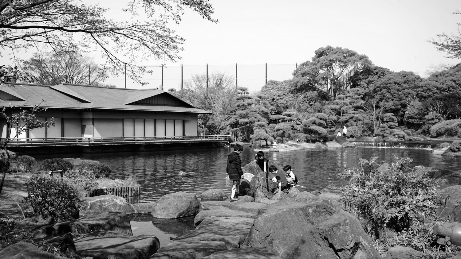 江戸川区の物件